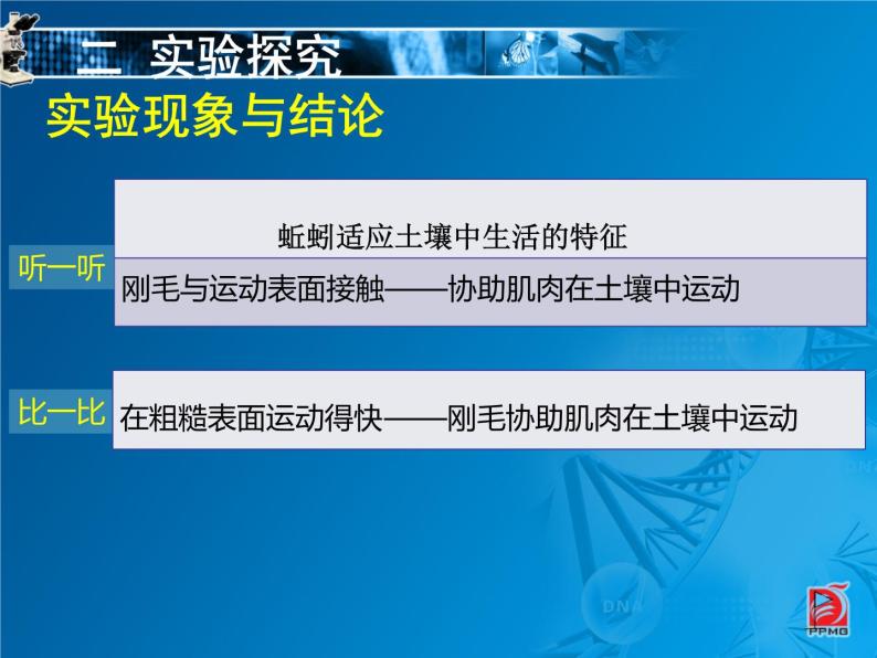 初中生物苏科版七年级下册 土壤里的小动物探究蚯蚓适应土壤中生活的特征部优课件08