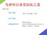 初中生物苏科版八年级上册 动物的生殖——鸟卵再探究部优课件