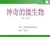 初中生物苏教版八年级上册 神奇的微生物部优课件