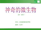 初中生物苏教版八年级上册 神奇的微生物部优课件