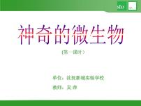 初中生物苏教版八年级上册第三节 神奇的微生物课文内容课件ppt