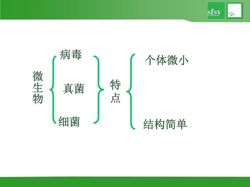 初中生物苏教版八年级上册 神奇的微生物部优课件03