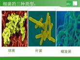 初中生物苏教版八年级上册 神奇的微生物部优课件