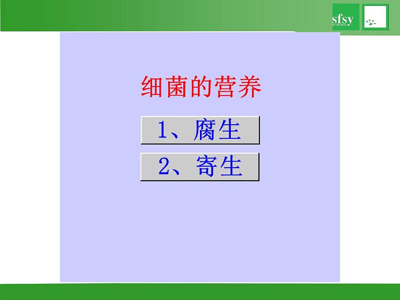 初中生物苏教版八年级上册 神奇的微生物部优课件08