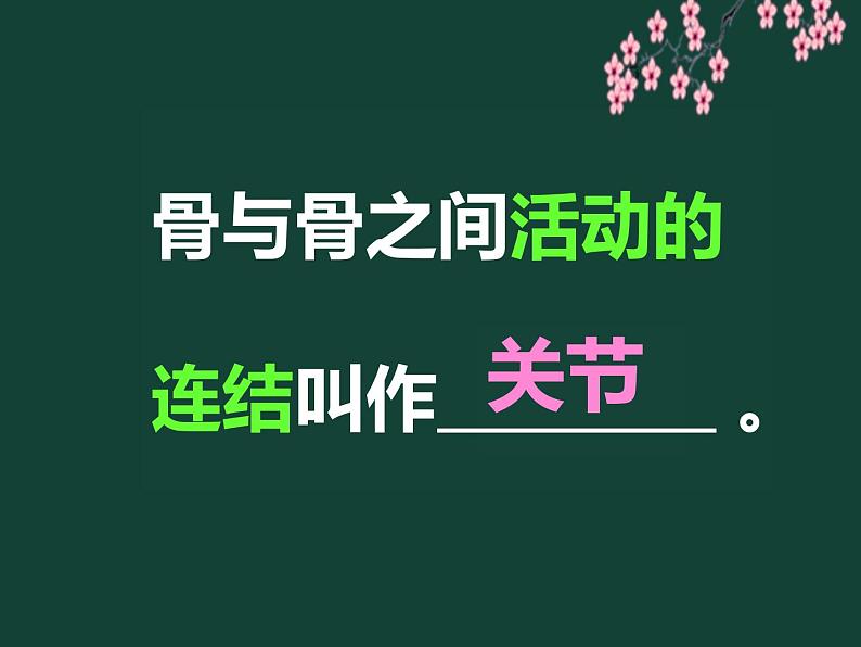 初中生物苏科版八年级上册 人体的运动骨的连结部优课件06