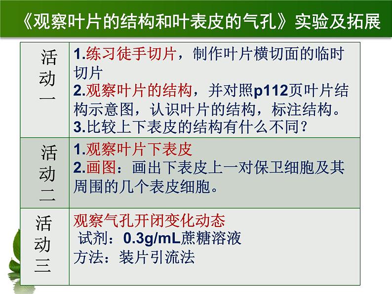 初中生物苏科版八年级上册 绿色植物与生物圈的水循环《观察叶片的结构和叶表皮的气孔》实验教学部优课件07