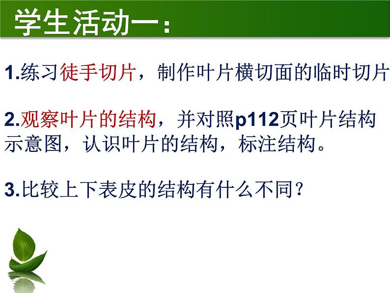 初中生物苏科版八年级上册 绿色植物与生物圈的水循环《观察叶片的结构和叶表皮的气孔》实验教学部优课件08