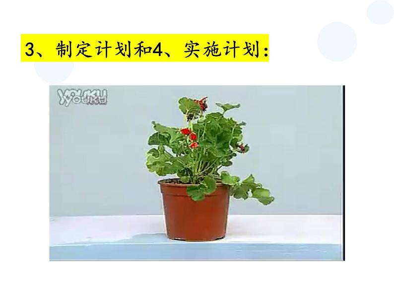 初中生物苏教版七年级上册 植物光合作用的实质《植物在光下制造有机物》部优课件第7页