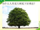 初中生物苏科版八年级上册 绿色植物与生物圈的水循环部优课件