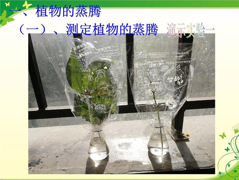 初中生物苏科版八年级上册 绿色植物与生物圈的水循环部优课件08