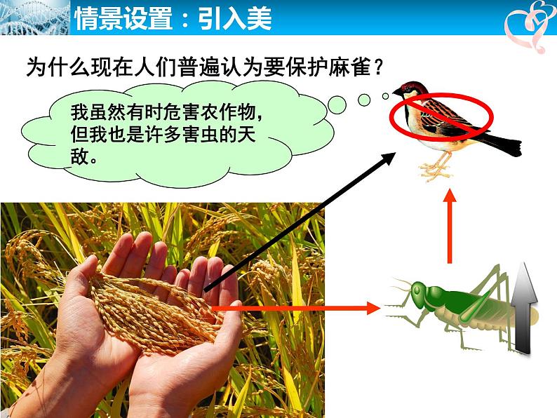 初中生物人教版八年级上册 动物与仿生动物在生物圈中的作用部优课件第2页