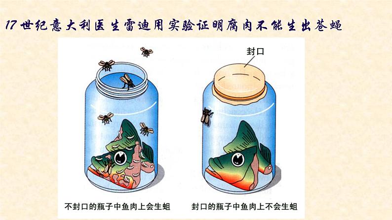 人教版生物八下7.3.1《 地球上生命的起源》课件07