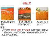 人教版生物八下7.3.2《 生物进化的历程》课件