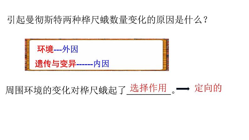 人教版生物八下7.3.3《 生物进化的原因》课件05