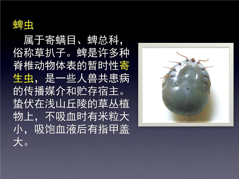 北师大版七下生物 13.2预防传染病 课件第7页