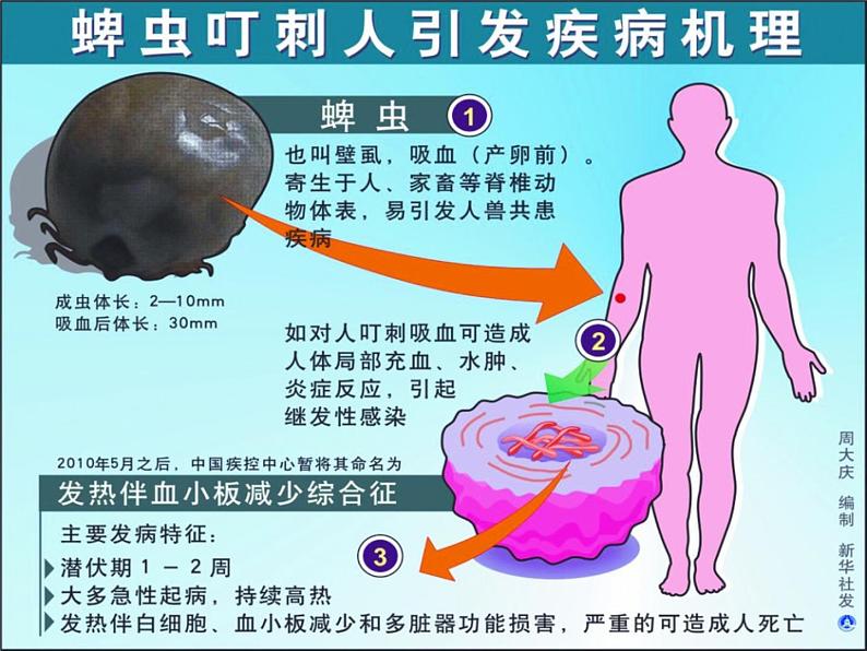 北师大版七下生物 13.2预防传染病 课件第8页