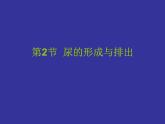北师大版七下生物 11.2尿的形成与排出 课件
