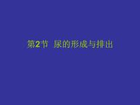 初中生物北师大版七年级下册第四单元  生物圈中的人第11章 人体代谢废物的排出第2节  尿的形成与排出课文内容课件ppt