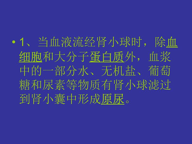 北师大版七下生物 11.2尿的形成与排出 课件04