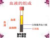 北师大版七下生物 9.1血液 课件