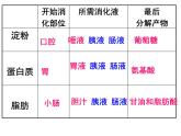 北师大版七下生物 8.3合理膳食与食品安全 课件