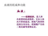 北师大版七下生物 9.1血液 课件