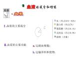 北师大版七下生物 9.1血液 课件