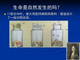北师大版八下生物 21.1生命的起源 课件