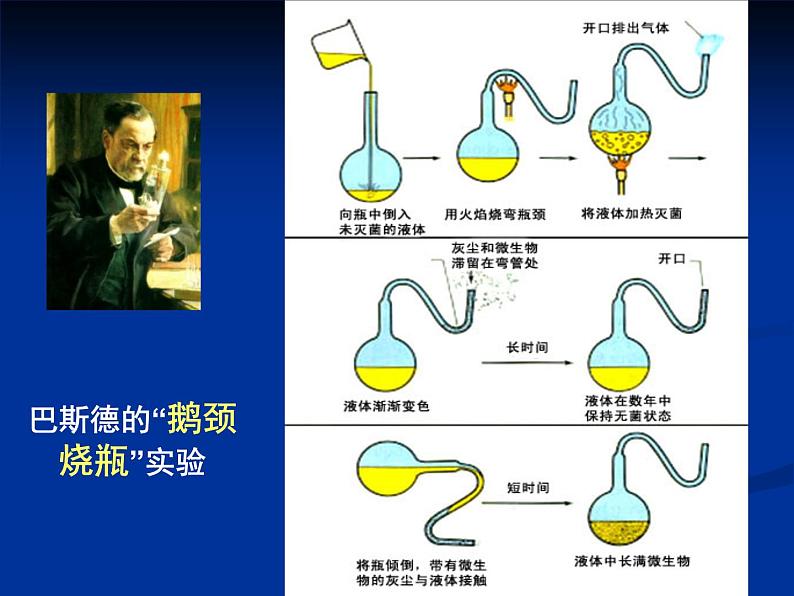 北师大版八下生物 21.1生命的起源 课件第6页