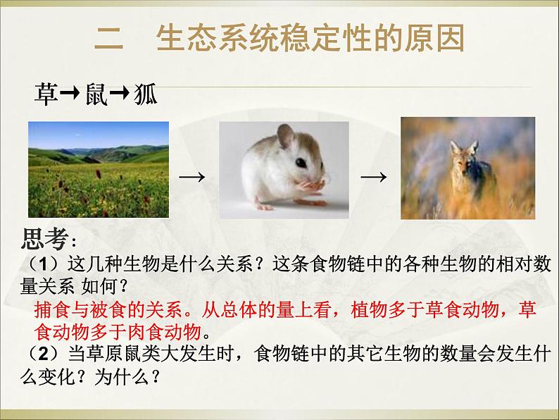 北师大版八下生物 21.3人类的起源与进化 课件08