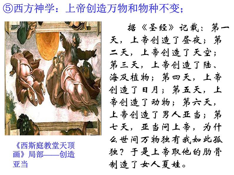 北师大版八下生物 21.1生命的起源 课件第5页