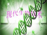 北师大版八下生物 25.2现代生物技术 课件