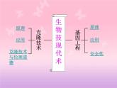 北师大版八下生物 25.2现代生物技术 课件
