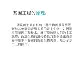 北师大版八下生物 25.2现代生物技术 课件