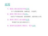北师大版八下生物 25.2现代生物技术 课件