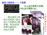 北师大版八下生物 25.2现代生物技术 课件