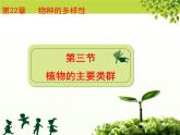 北师大版八下生物 22.3植物的主要类群 课件