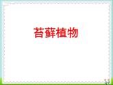 北师大版八下生物 22.3植物的主要类群 课件