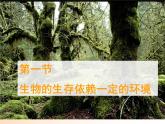 北师大版八下生物 23.1生物的生存依赖一定的环境 课件