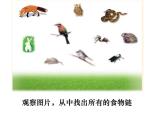 北师大版八下生物 23.3生态系统的结构和功能 课件