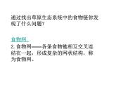 北师大版八下生物 23.3生态系统的结构和功能 课件