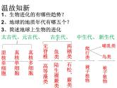 北师大版八下生物 21.2生物的进化 课件