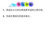 北师大版八下生物 21.2生物的进化 课件