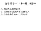 北师大版八下生物 21.2生物的进化 课件