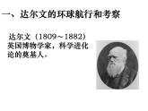 北师大版八下生物 21.2生物的进化 课件