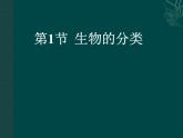 北师大版八下生物 22.1生物的分类 课件