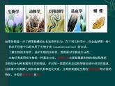 北师大版八下生物 22.1生物的分类 课件