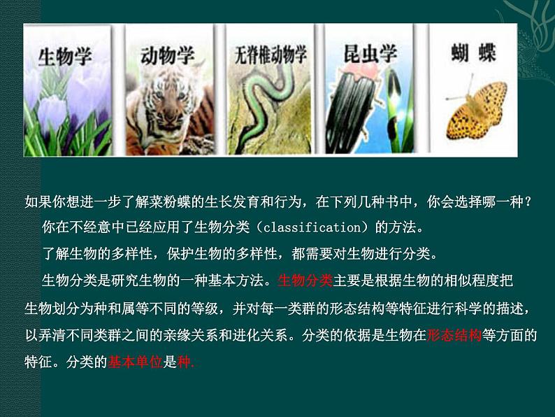 北师大版八下生物 22.1生物的分类 课件第3页