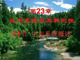 北师大版八下生物 23.2生态系统概述 课件