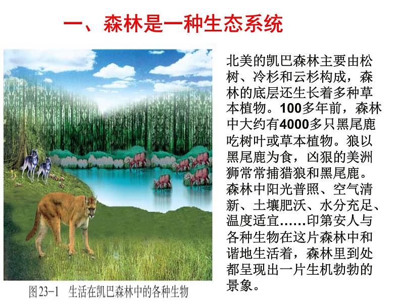 北师大版八下生物 23.2生态系统概述 课件02